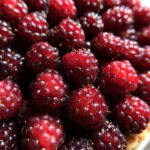 Delicious Mulberry Recipe Pie: A Sweet, Simple Delight