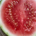 Refreshing Watermelon Drink Healthy for Summer Hydration